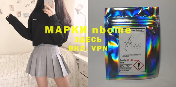 сатива Дедовск