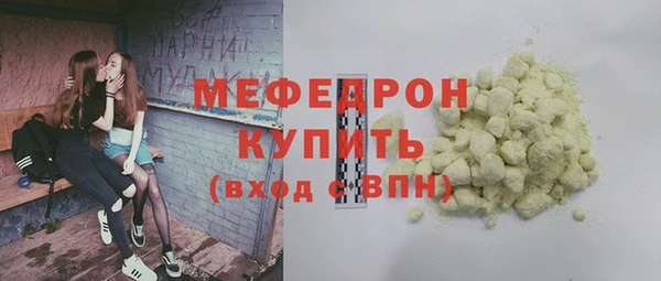 индика Дегтярск