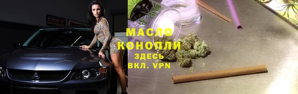 индика Дегтярск