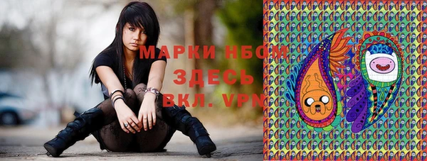 индика Дегтярск