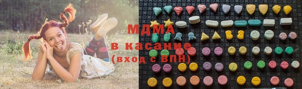 индика Дегтярск