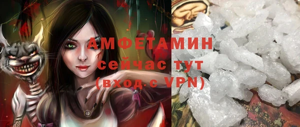 сатива Дедовск
