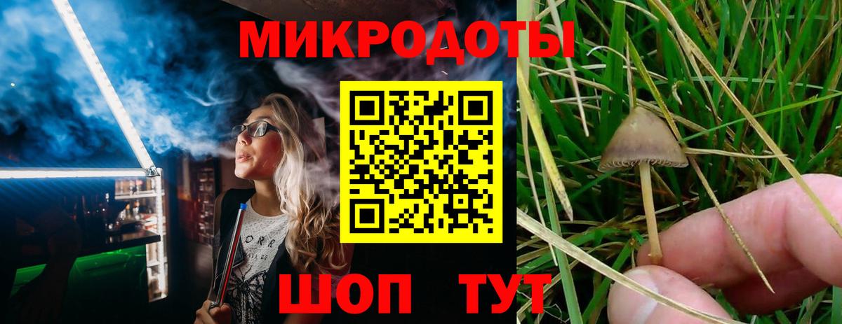 Черногорск  Галлюциногенные грибы мухоморы  Вход с VPN 